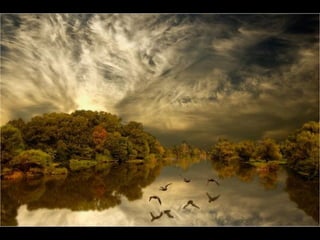 Photographies superbes