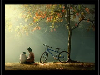 Photographies superbes