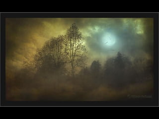 Photographies superbes