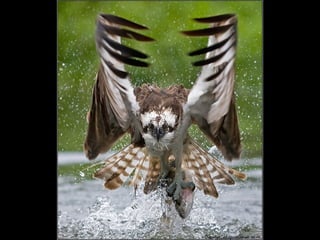 Photographies superbes