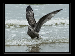 Photographies superbes