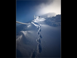 Photographies superbes