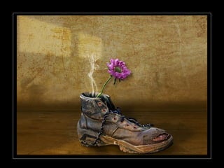 Photographies superbes