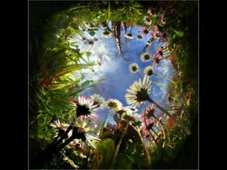 Photographies superbes