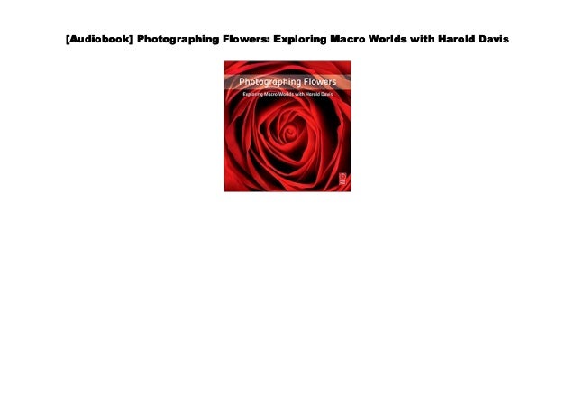 Photographing Flowers Exploring Macro Worlds with Harold Davis