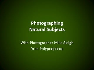 Photographing
Natural Subjects
With Photographer Mike Sleigh
from Polypodphoto
 