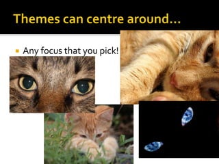 Themes can centre around…Any focus that you pick!