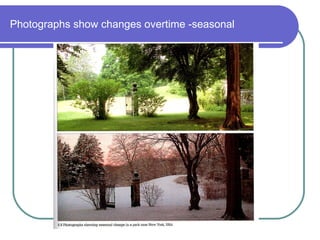 Photographs show changes overtime -seasonal 
