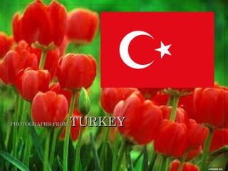 PHOTOGRAPHS FROM

TURKEY

 