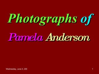 Photographs   of Pamela  Anderson 