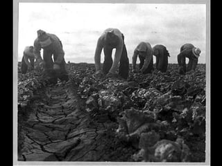 Photographs of the Great Depression