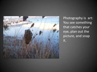 Photography is  art: You see something that catches your eye, plan out the picture, and snap it.
