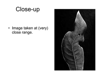 Close-up Image taken at (very) close range. 