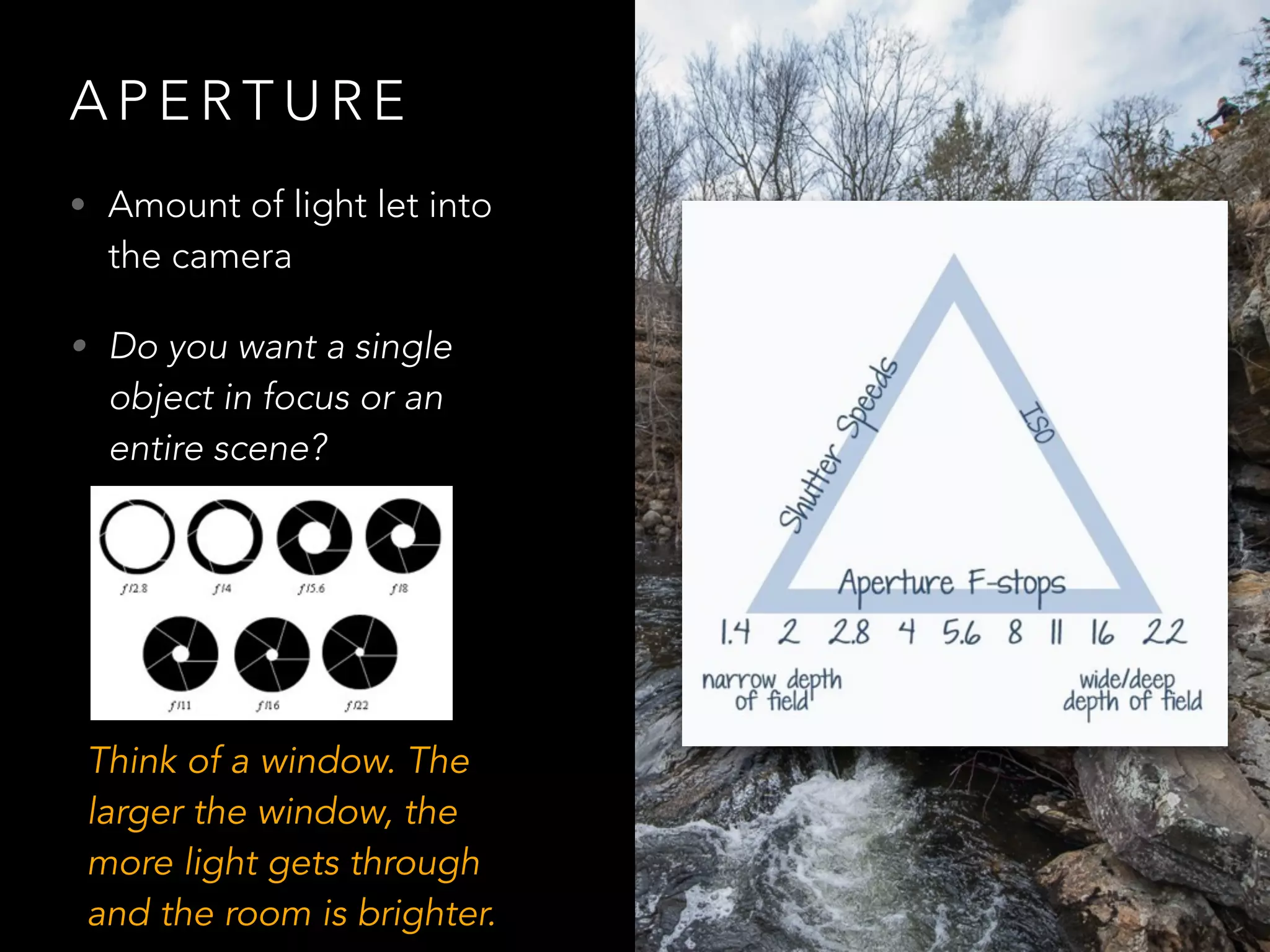 A P E R T U R E
• Amount of light let into
the camera
• Do you want a single
object in focus or an
entire scene?
Think of a window. The
larger the window, the
more light gets through
and the room is brighter.
 
