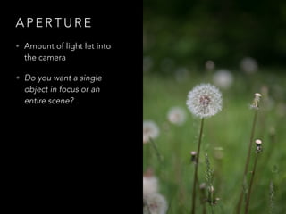 A P E R T U R E
• Amount of light let into
the camera
• Do you want a single
object in focus or an
entire scene?
 
