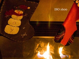 ISO 1600
 