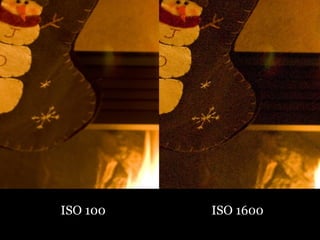 ISO 100 ISO 1600
 