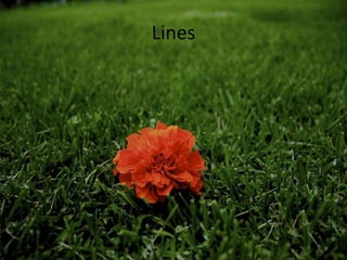 Lines