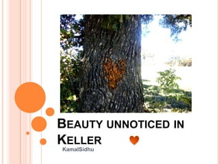 Beauty unnoticed in Keller KamalSidhu 