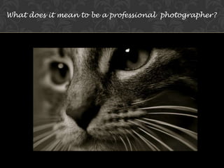 What does it mean to be a professional  photographer?  
