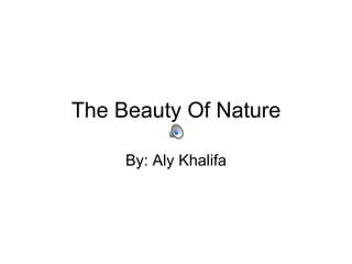 The Beauty Of Nature By: Aly Khalifa 