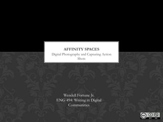 AFFINITY SPACES
Digital Photography and Capturing Action
                 Shots




     Wendell Fortune Jr.
   ENG 494: Writing in Digital
        Communities
 