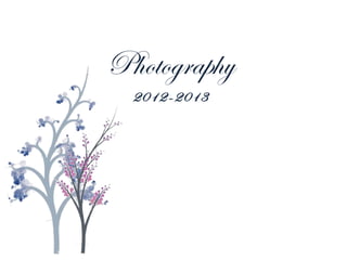 Photography
  2012-2013
 
