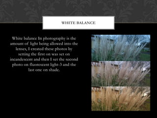 WHITE BALANCE


 White balance In photography is the
amount of light being allowed into the
   lenses, I created these photos by
     setting the first on was set on
incandescent and then I set the second
 photo on fluorescent light-3 and the
           last one on shade.
 