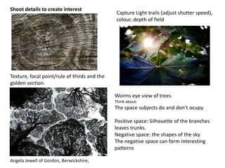 Worms eye view of trees
Think about:
The space subjects do and don't ocupy.
Positive space: Silhouette of the branches
leaves trunks.
Negative space: the shapes of the sky
The negative space can form interesting
patterns
Texture, focal point/rule of thirds and the
golden section.
Capture Light trails (adjust shutter speed),
colour, depth of field
Shoot details to create interest
Angela Jewell of Gordon, Berwickshire,
 