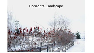 Horizontal Landscape

 