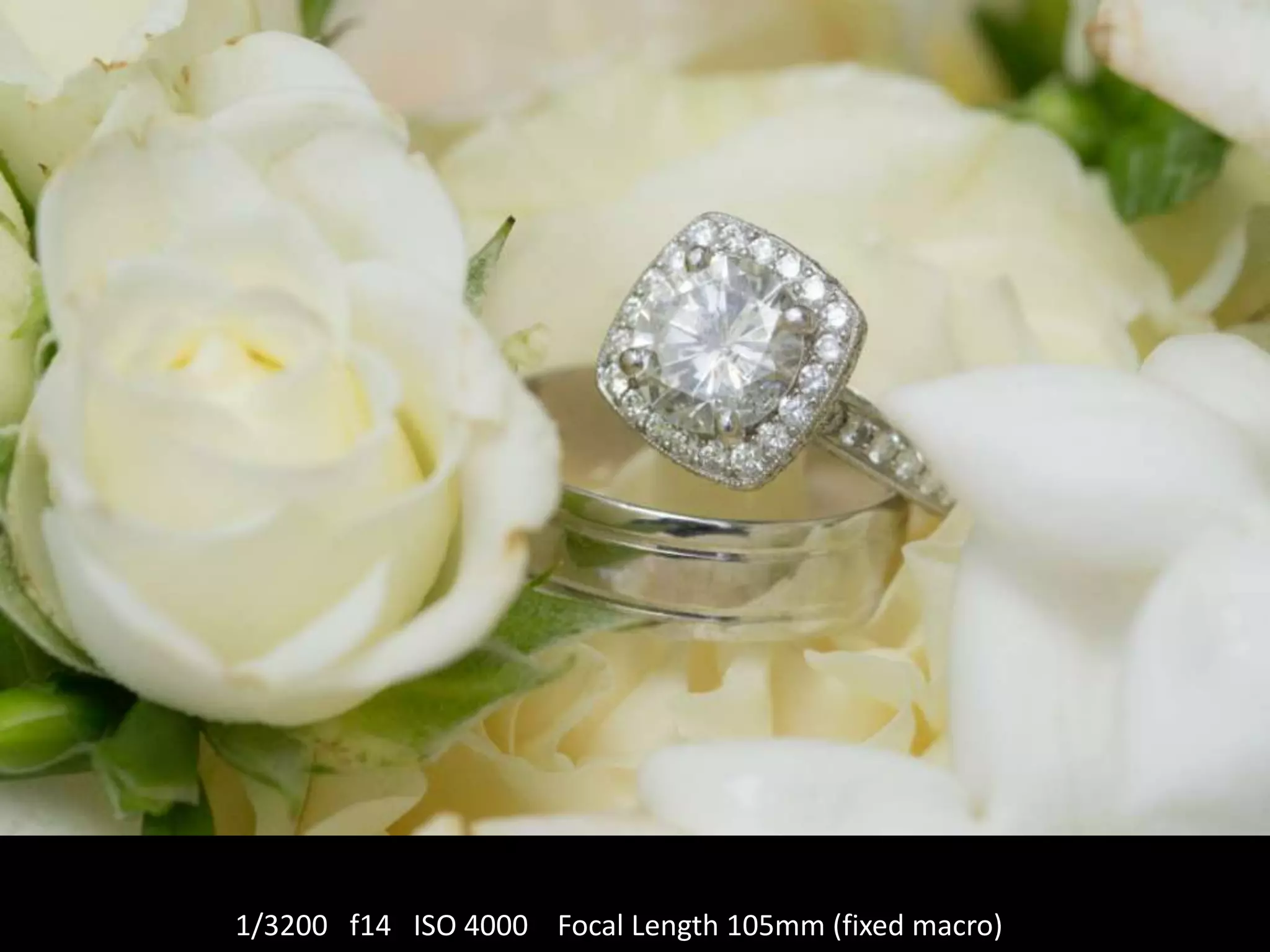 1/3200 f14 ISO 4000 Focal Length 105mm (fixed macro)

 