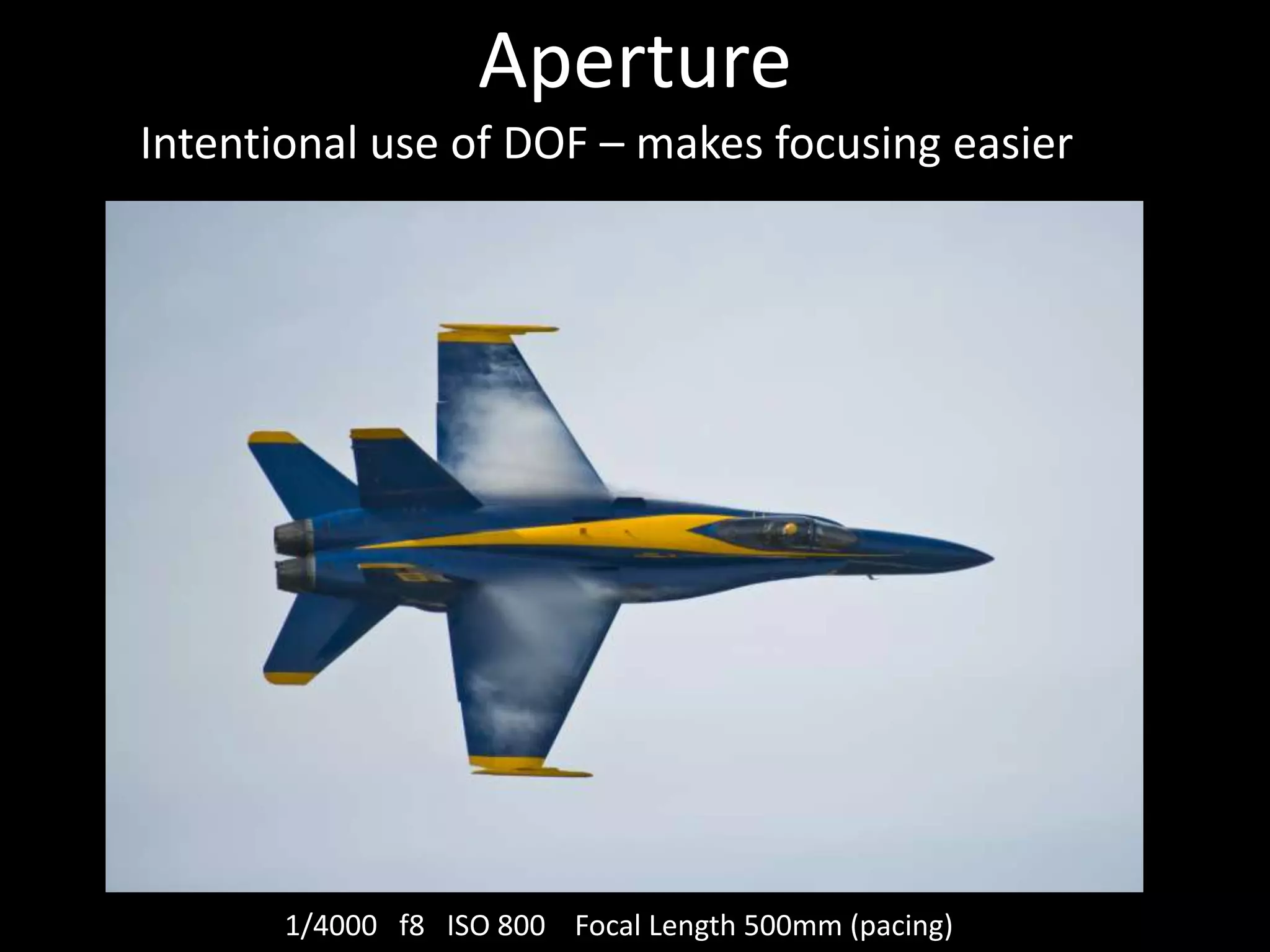 Aperture
Intentional use of DOF – makes focusing easier

1/4000 f8 ISO 800 Focal Length 500mm (pacing)

 