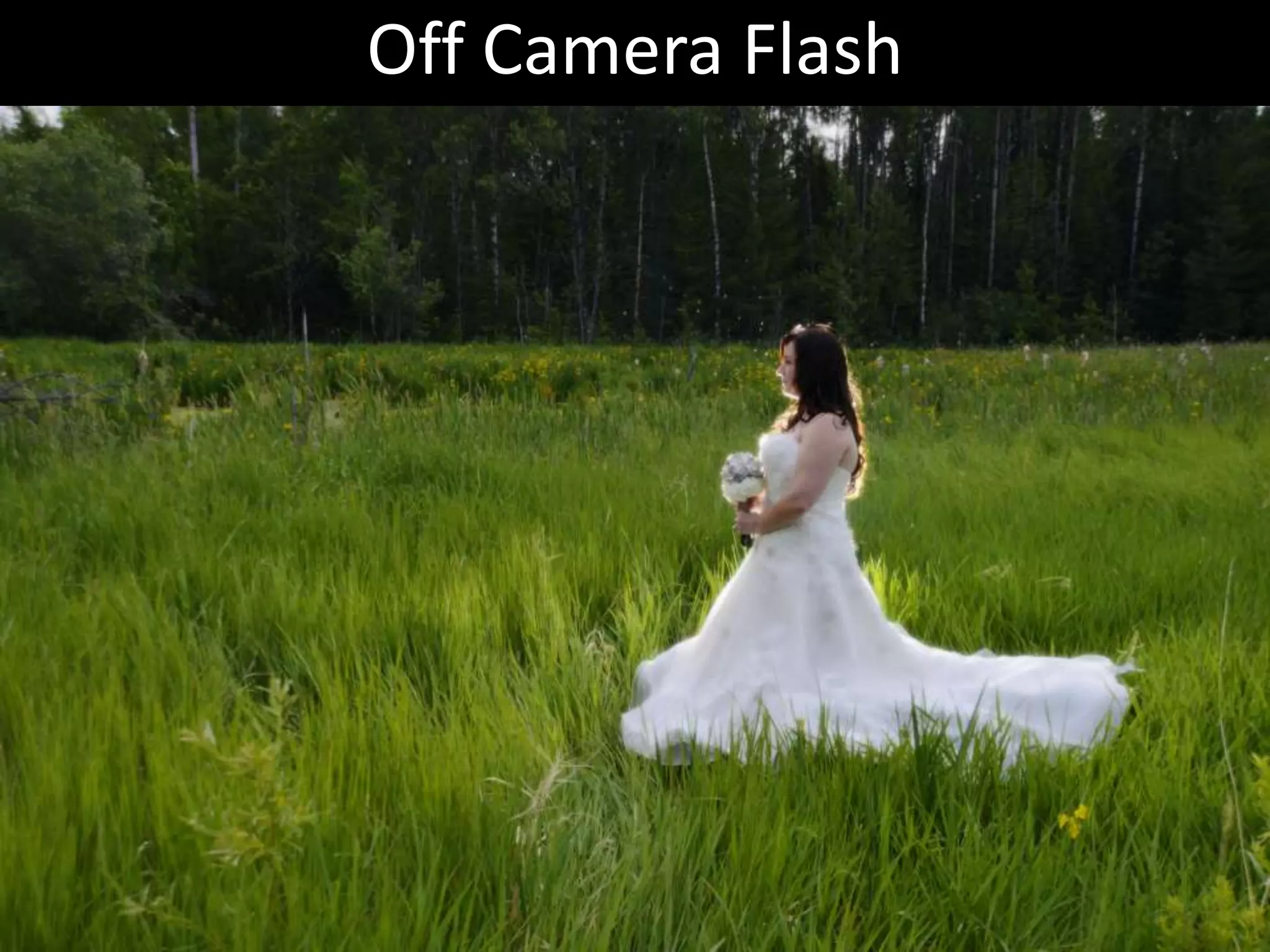 Off Camera Flash

 