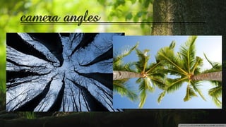 camera angles
 