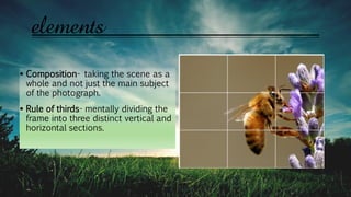elements
 Composition- taking the scene as a
whole and not just the main subject
of the photograph.
 Rule of thirds- mentally dividing the
frame into three distinct vertical and
horizontal sections.
 