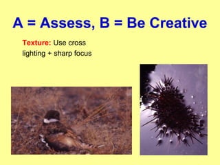 A = Assess, B = Be Creative
Texture: Use cross
lighting + sharp focus
 
