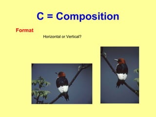 C = Composition
Format
Horizontal or Vertical?
 