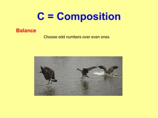 C = Composition
Balance
Choose odd numbers over even ones
 