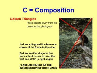 C = Composition
Golden Triangles
Place objects away from the
center of the photograph
1) draw a diagonal line from one
corner of the frame to the other
2) draw another diagonal line
from a third corner to meet the
first line at 90º (a right angle)
PLACE AN OBJECT AT THE
INTERSECTION OF BOTH LINES
 