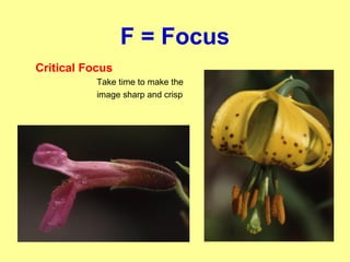 F = Focus
Critical Focus
Take time to make the
image sharp and crisp
 