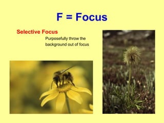 F = Focus
Selective Focus
Purposefully throw the
background out of focus
 