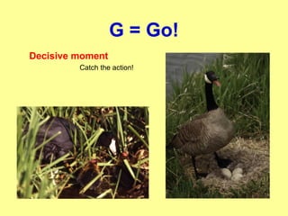 G = Go!
Decisive moment
Catch the action!
 