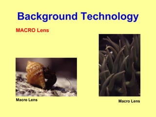 Background Technology
MACRO Lens
Macro LensMacro Lens
 