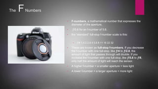 Photography Basics | PPTX