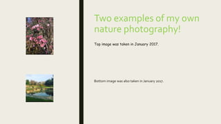 Two examples of my own
nature photography!
Top image was taken in January 2017.
Bottom image was also taken in January 2017.
 