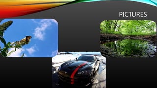 PICTURES
 