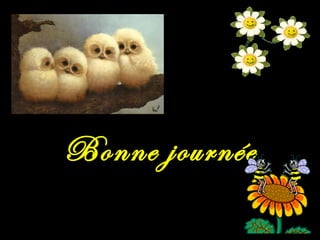 Bonne journée