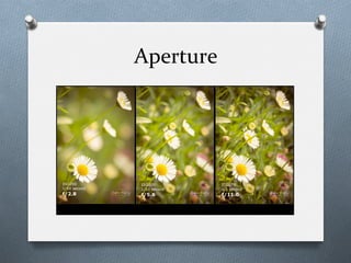 Aperture	
  
 