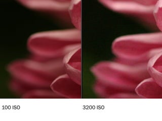 100 ISO 3200 ISO
 