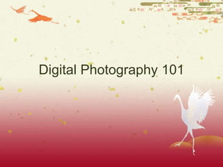 Digital Photography 101 